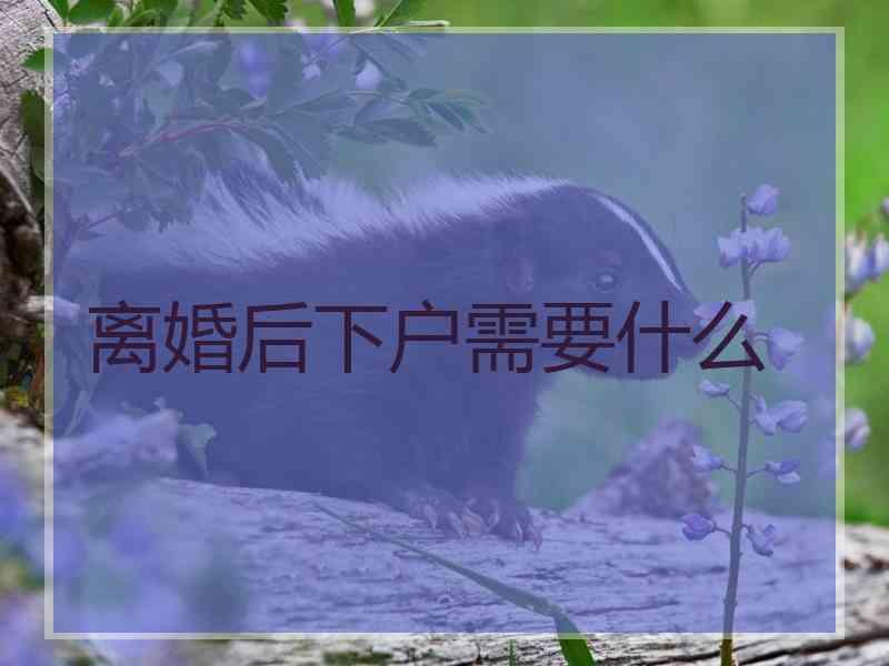 离婚后下户需要什么