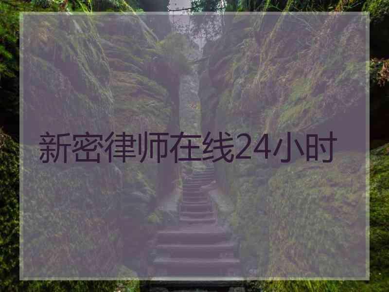 新密律师在线24小时