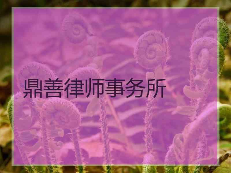 鼎善律师事务所