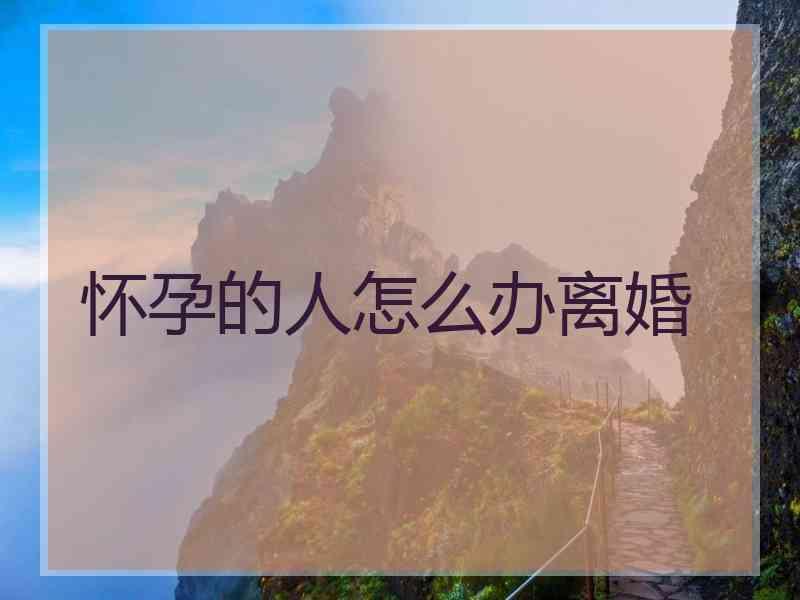 怀孕的人怎么办离婚