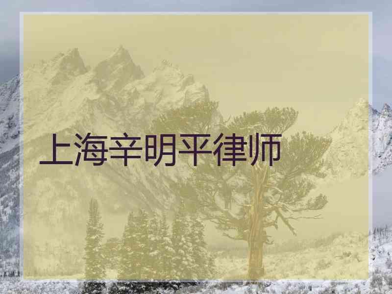 上海辛明平律师