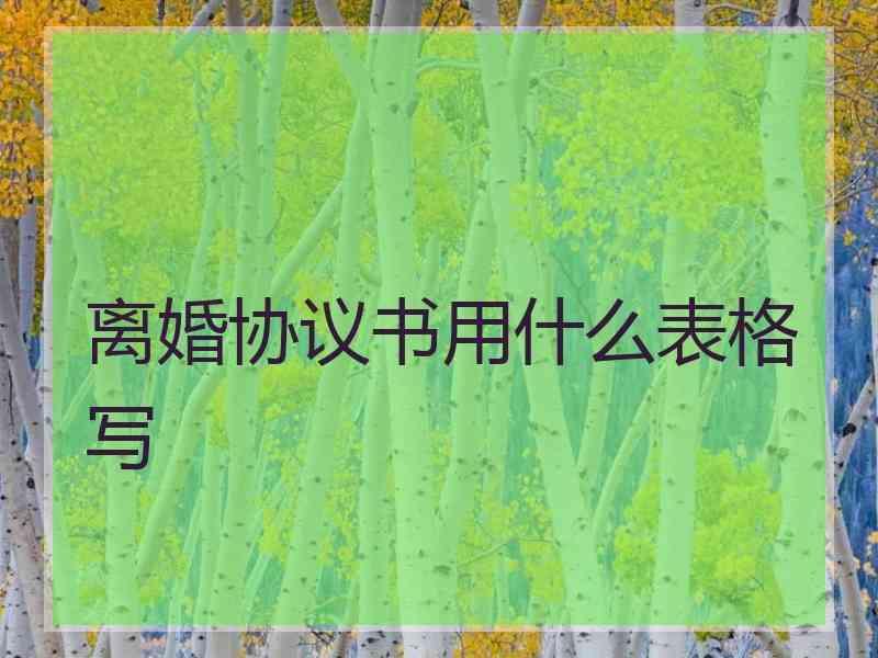 离婚协议书用什么表格写