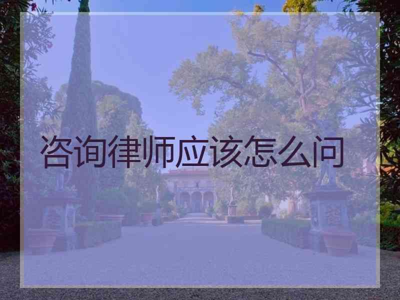 咨询律师应该怎么问