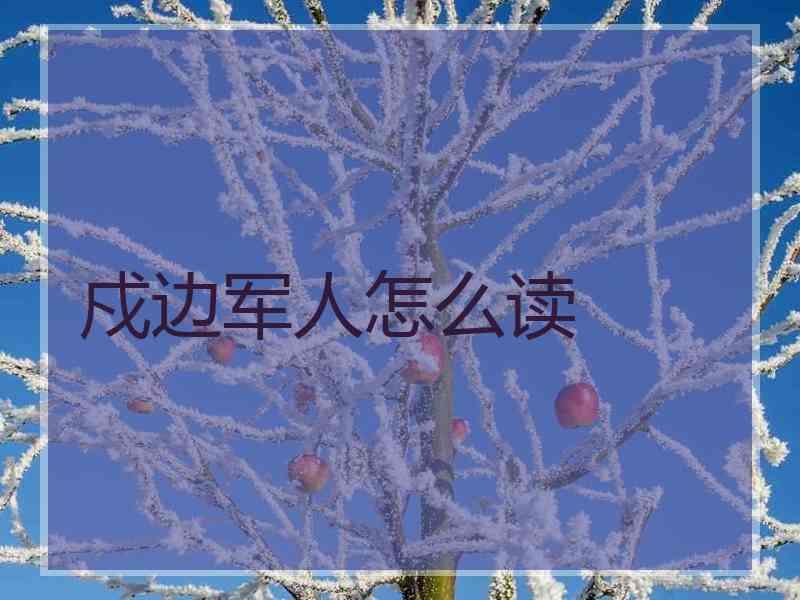 戍边军人怎么读
