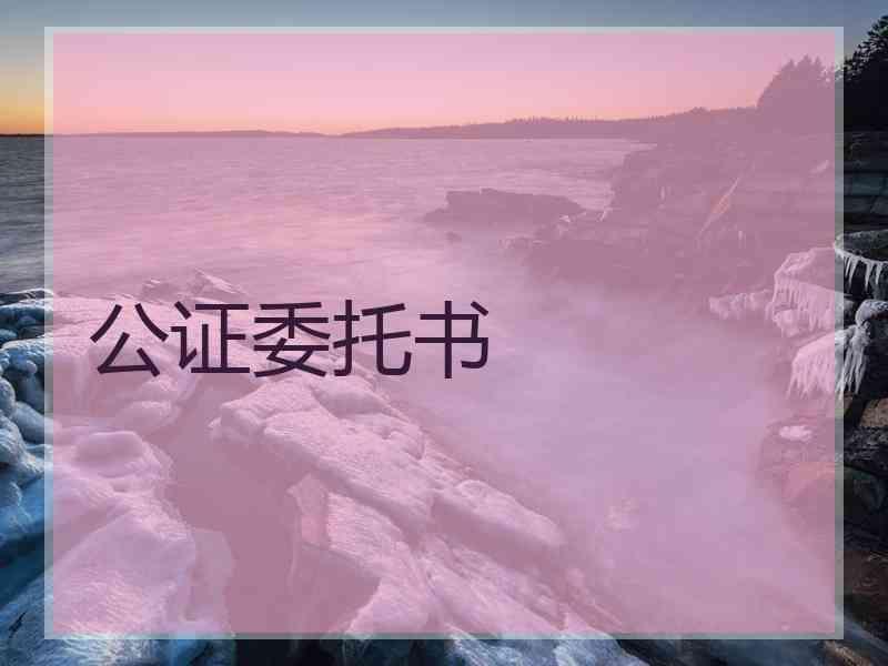 公证委托书