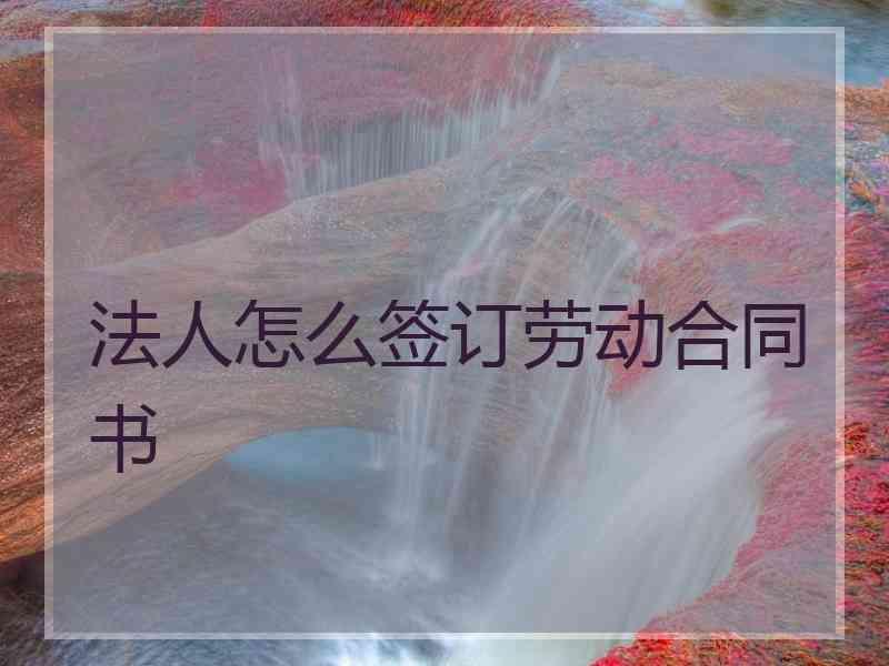 法人怎么签订劳动合同书