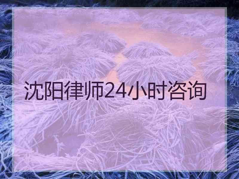 沈阳律师24小时咨询