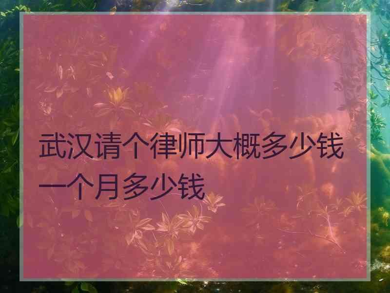 武汉请个律师大概多少钱一个月多少钱