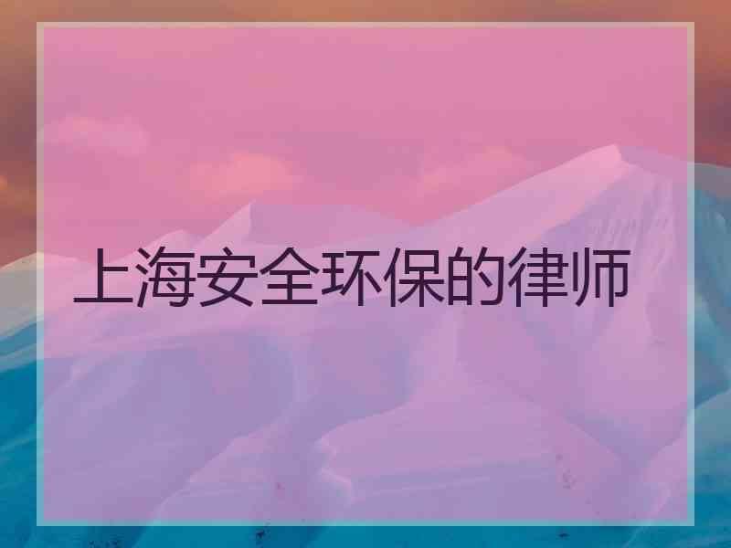 上海安全环保的律师