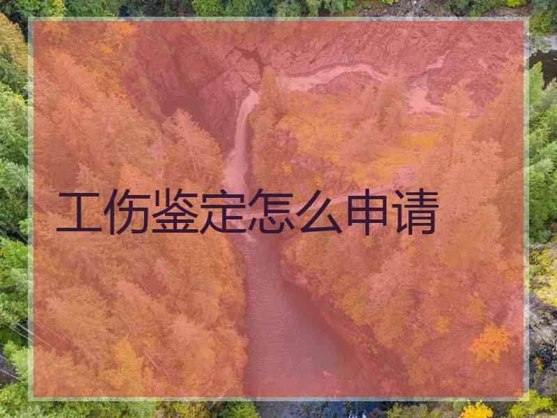 工伤鉴定怎么申请