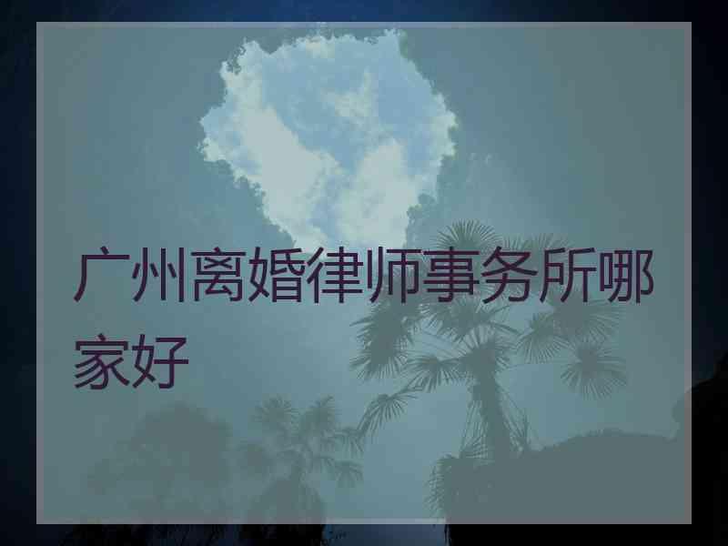 广州离婚律师事务所哪家好