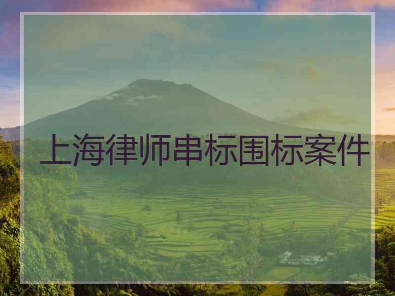 上海律师串标围标案件