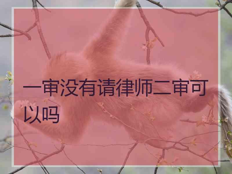 一审没有请律师二审可以吗