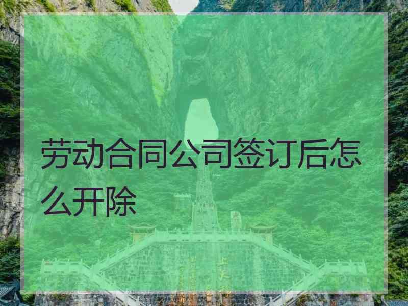 劳动合同公司签订后怎么开除