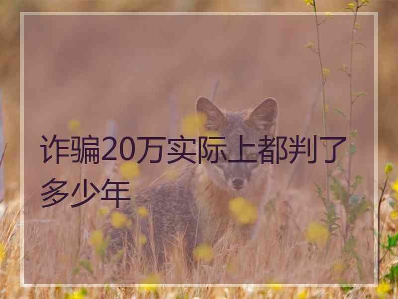 诈骗20万实际上都判了多少年