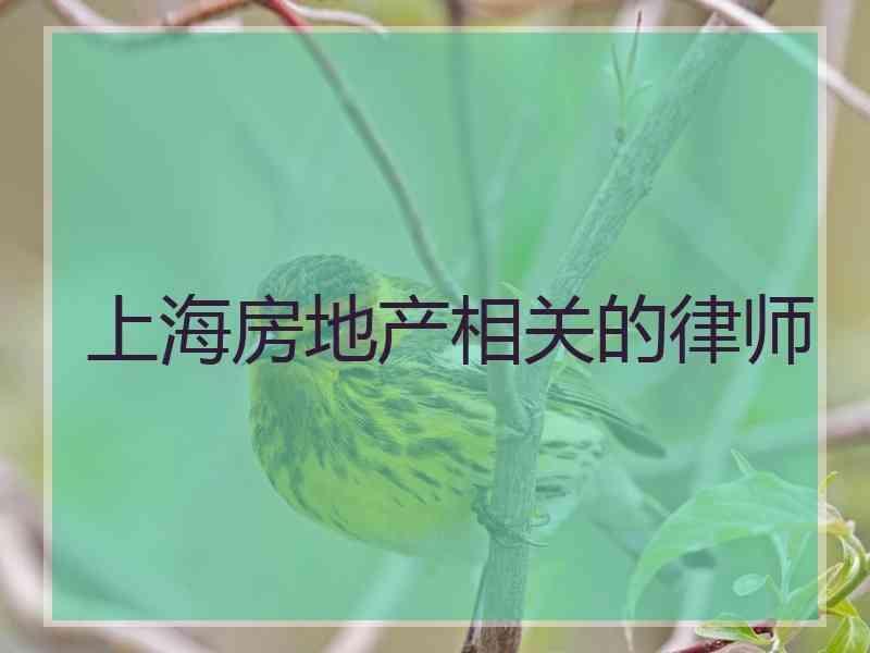 上海房地产相关的律师