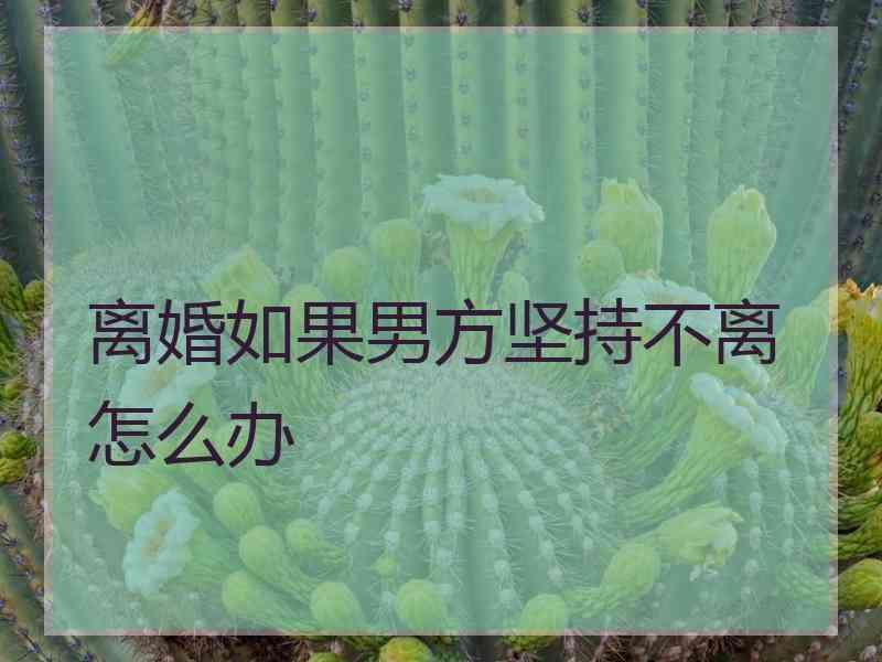 离婚如果男方坚持不离怎么办