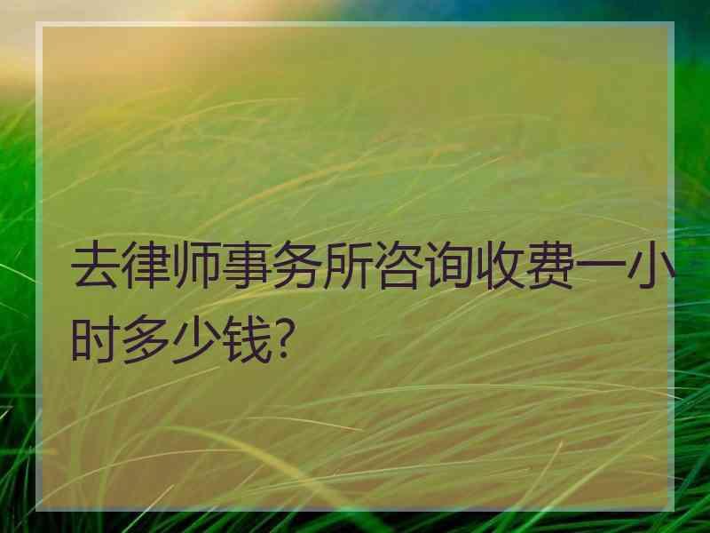 去律师事务所咨询收费一小时多少钱?