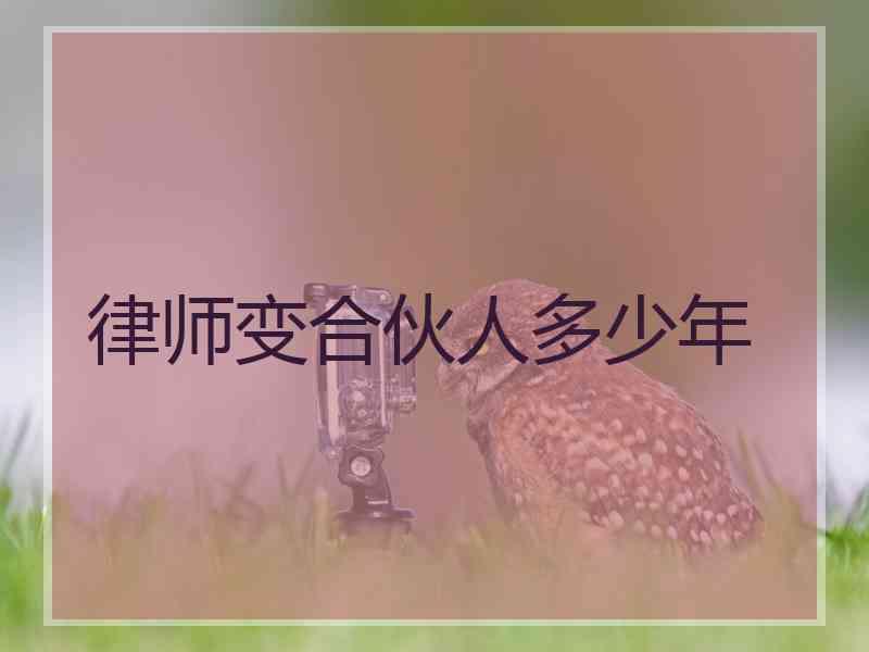 律师变合伙人多少年
