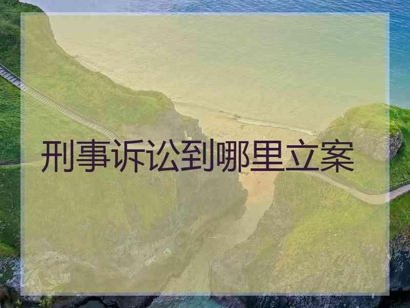 刑事诉讼到哪里立案