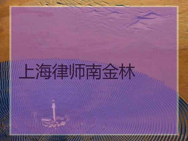 上海律师南金林