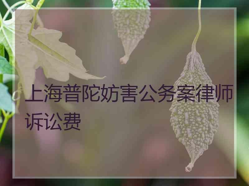 上海普陀妨害公务案律师诉讼费