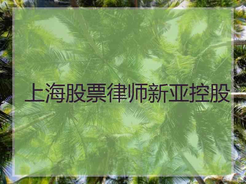 上海股票律师新亚控股