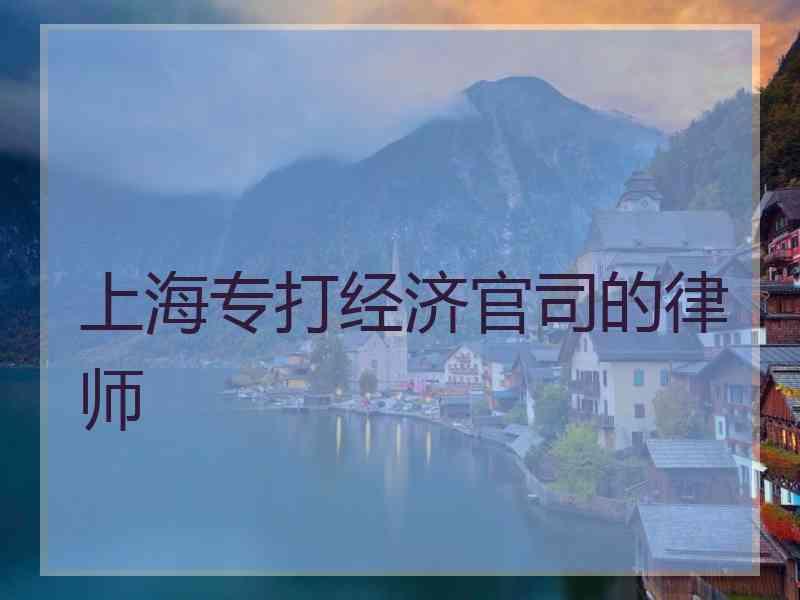 上海专打经济官司的律师