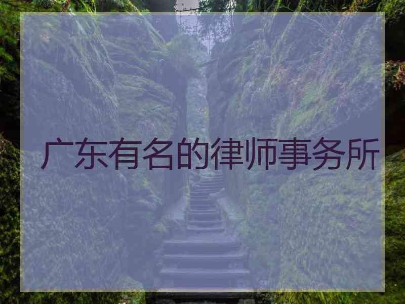 广东有名的律师事务所