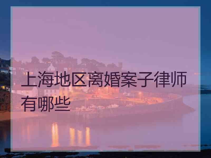 上海地区离婚案子律师有哪些