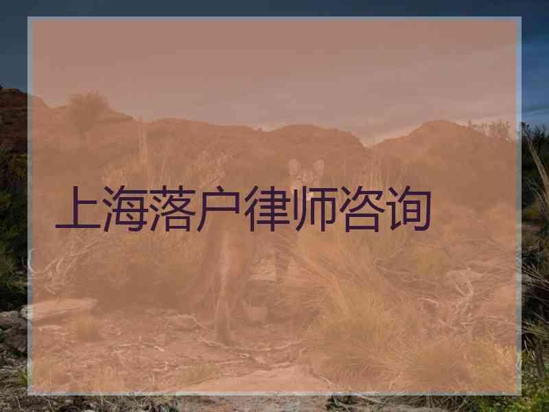 上海落户律师咨询