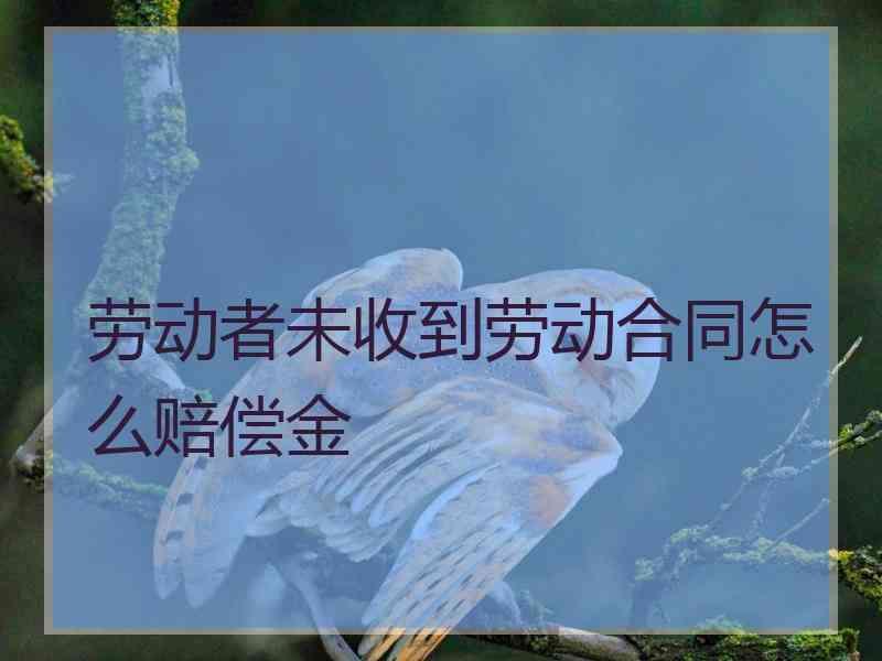 劳动者未收到劳动合同怎么赔偿金