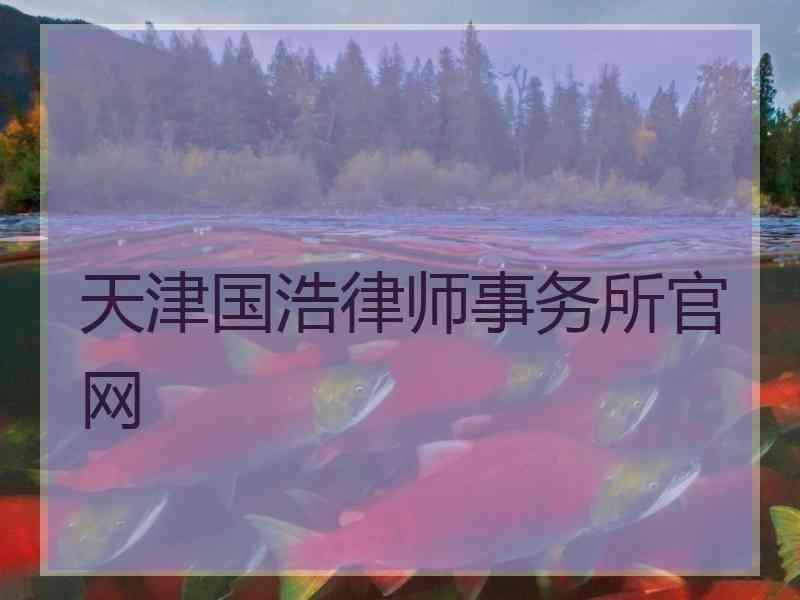 天津国浩律师事务所官网