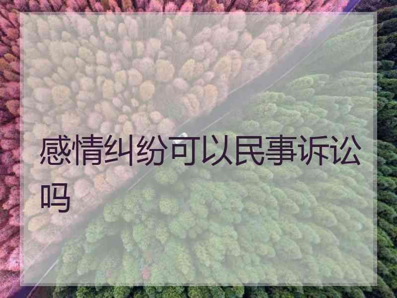 感情纠纷可以民事诉讼吗