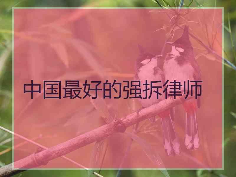 中国最好的强拆律师