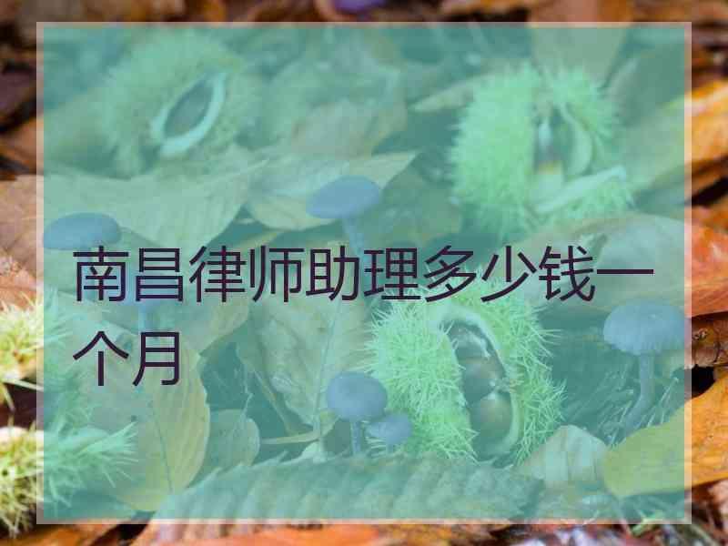 南昌律师助理多少钱一个月