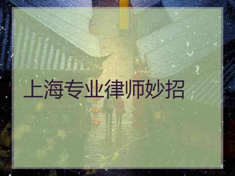 上海专业律师妙招