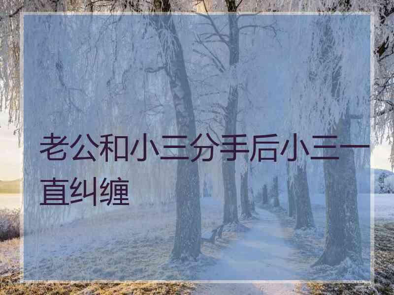 老公和小三分手后小三一直纠缠