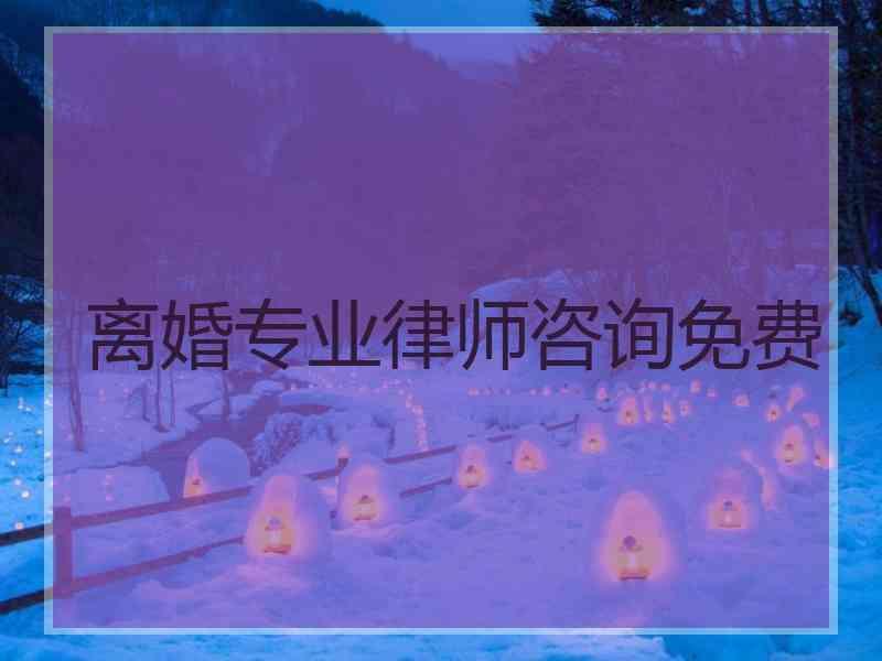 离婚专业律师咨询免费