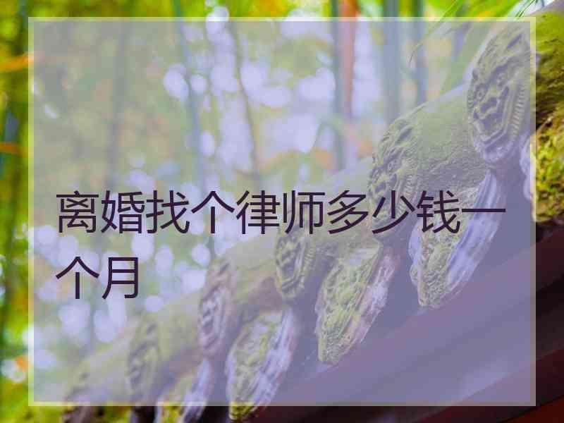 离婚找个律师多少钱一个月