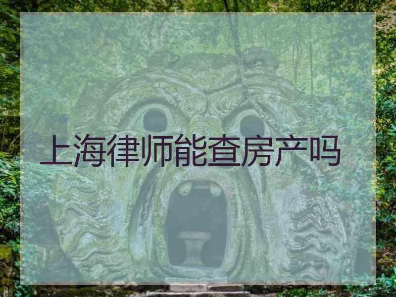 上海律师能查房产吗