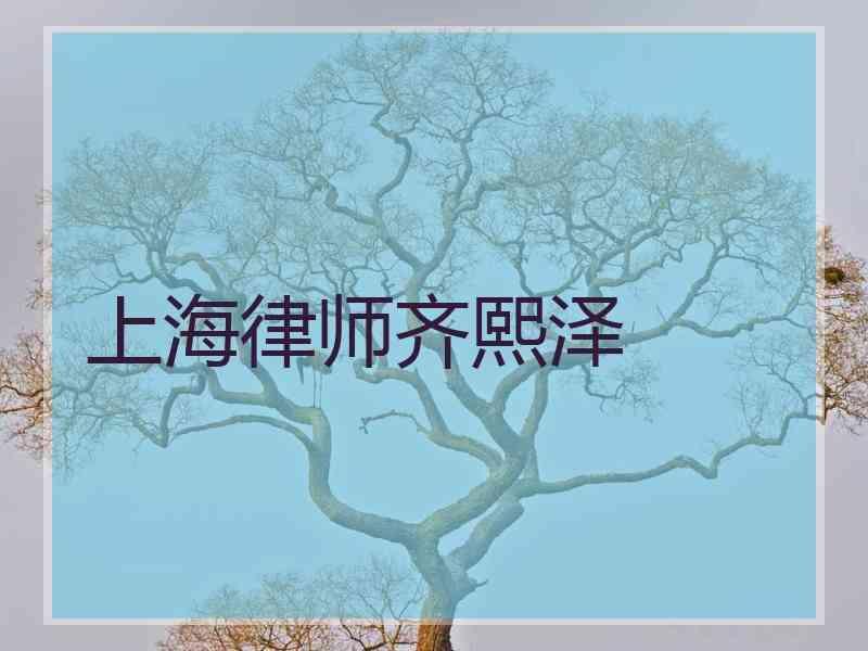 上海律师齐熙泽