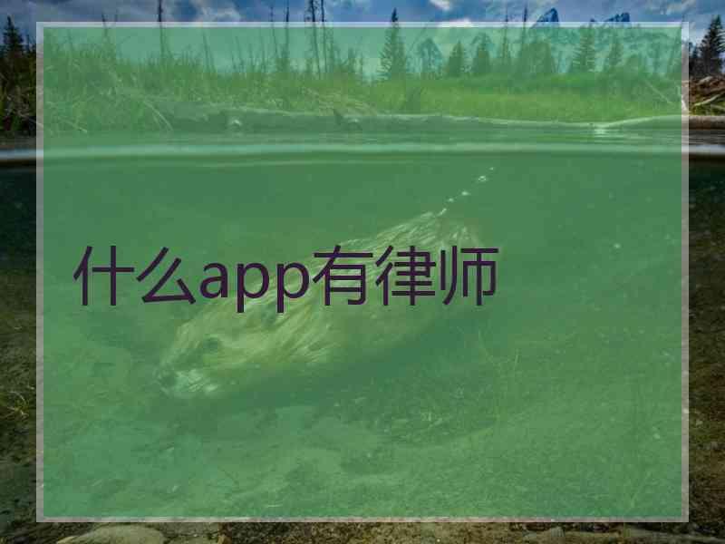 什么app有律师