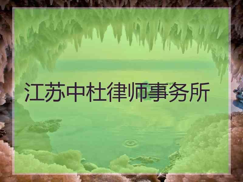 江苏中杜律师事务所