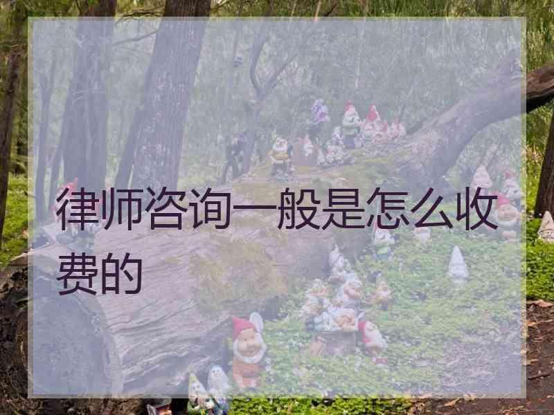 律师咨询一般是怎么收费的