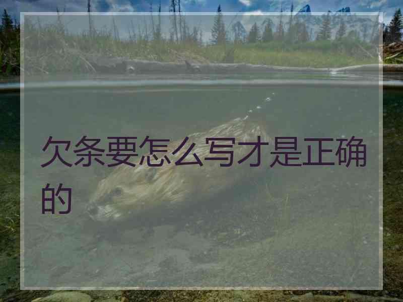欠条要怎么写才是正确的