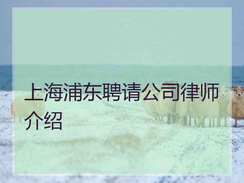 上海浦东聘请公司律师介绍