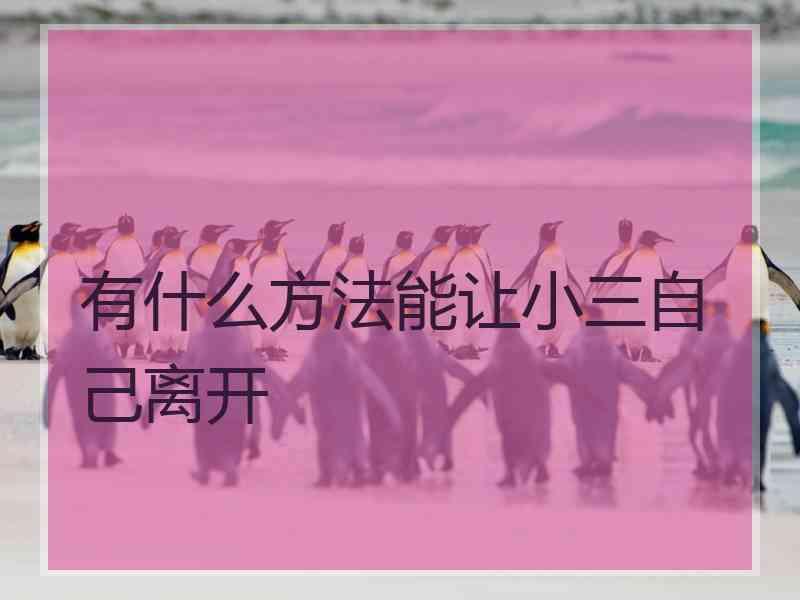 有什么方法能让小三自己离开