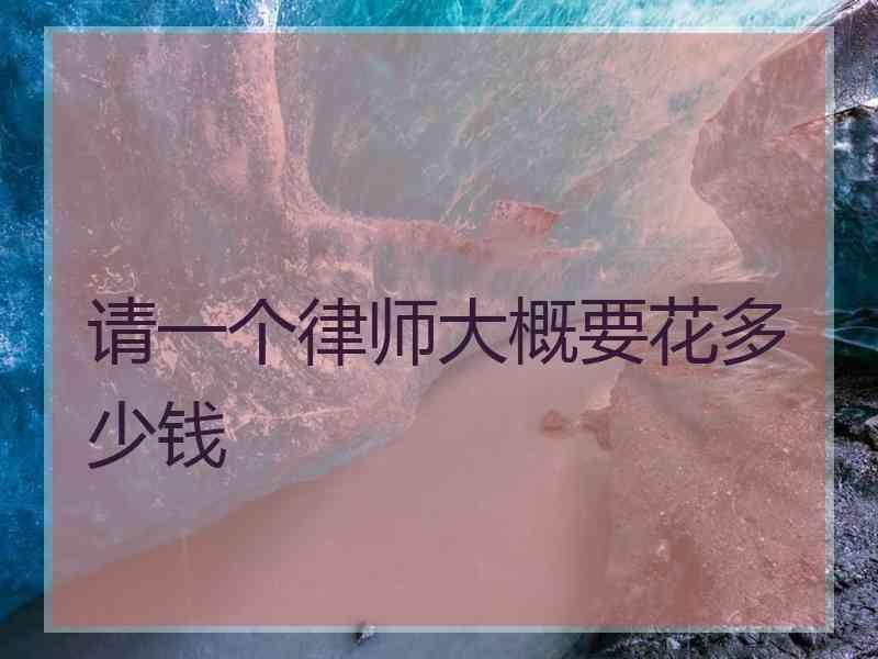 请一个律师大概要花多少钱