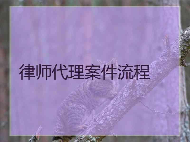 律师代理案件流程